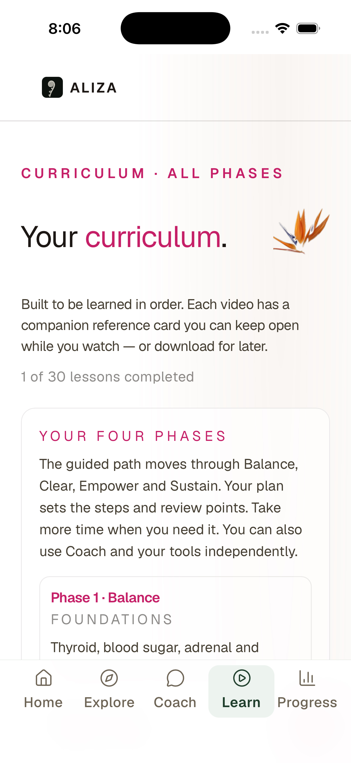 Aliza curriculum screen from the fictional Dana demo account